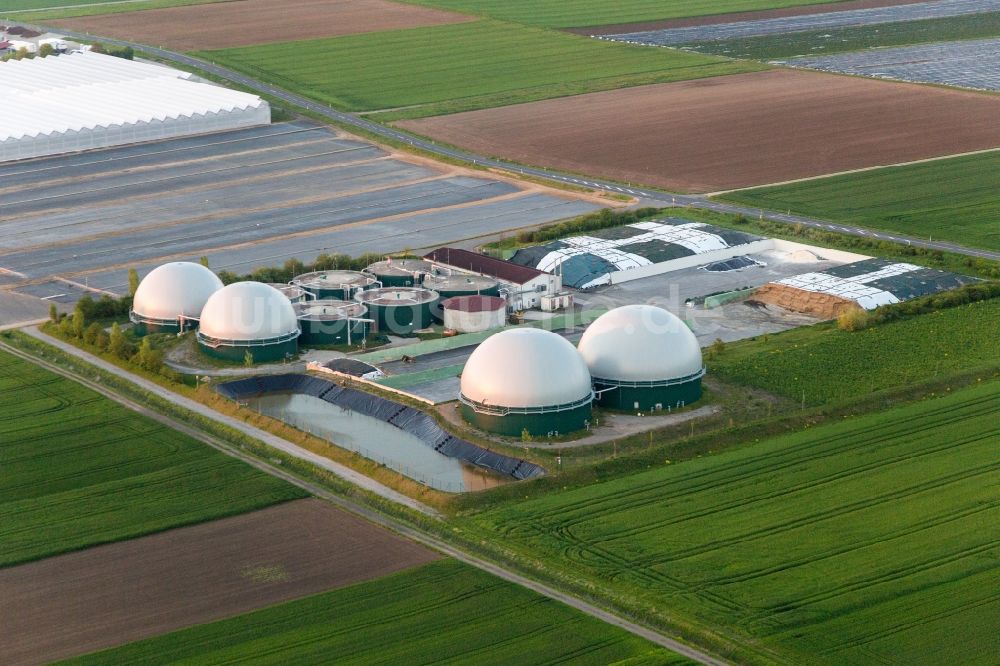 Luftbild Kolitzheim - Gewächshausreihen zur Blumenzucht und Kuppeln einer Biogasanlage im Ortsteil Oberspiesheim in Kolitzheim im Bundesland Bayern, Deutschland