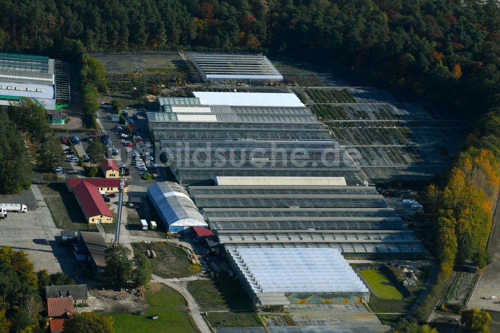 Langerwisch von oben - Gewächshausreihen zur Blumenzucht in Langerwisch im Bundesland Brandenburg, Deutschland