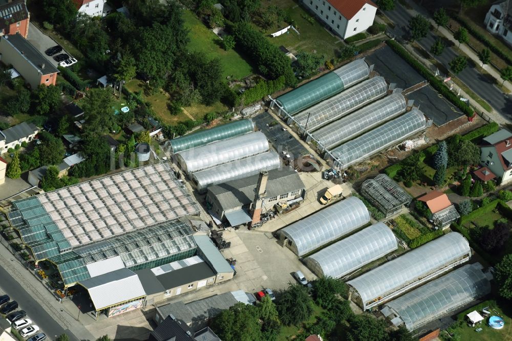 Luftbild Neuenhagen - Gewächshausreihen zur Blumenzucht in Neuenhagen im Bundesland Brandenburg