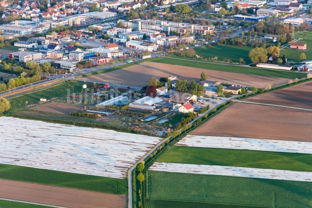 Bensheim aus der Vogelperspektive: Gewächshausreihen zur Blumenzucht im Ortsteil Auerbach in Bensheim im Bundesland Hessen, Deutschland