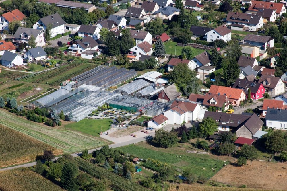 Kehl aus der Vogelperspektive: Gewächshausreihen zur Blumenzucht im Ortsteil Bodersweier in Kehl im Bundesland Baden-Württemberg