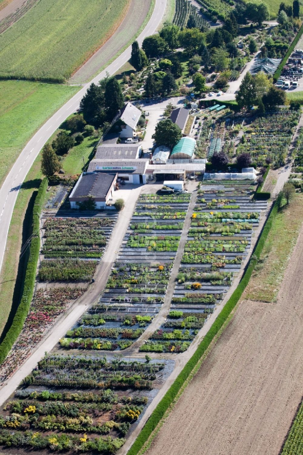 Luftaufnahme Kehl - Gewächshausreihen zur Blumenzucht im Ortsteil Bodersweier in Kehl im Bundesland Baden-Württemberg