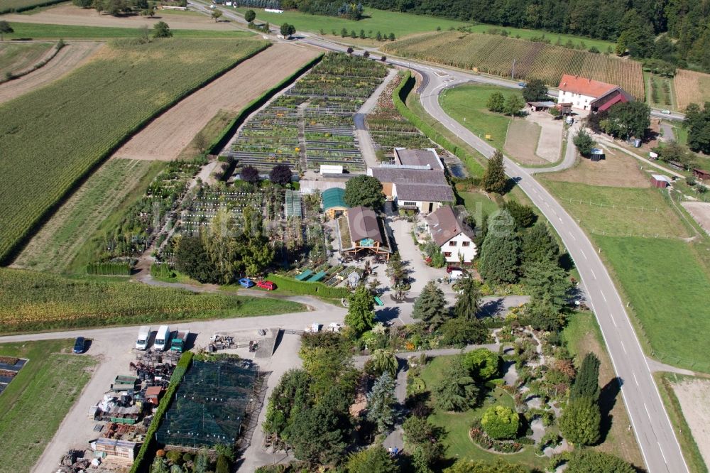 Kehl von oben - Gewächshausreihen zur Blumenzucht im Ortsteil Bodersweier in Kehl im Bundesland Baden-Württemberg