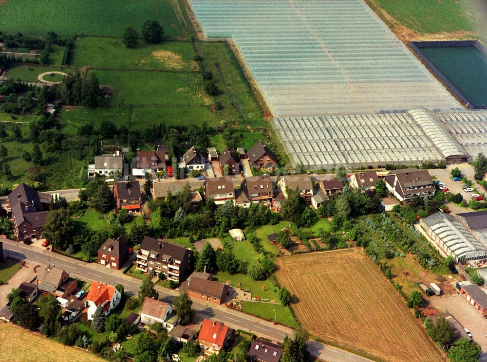 Luftbild Rheinberg - Gewächshausreihen zur Blumenzucht im Ortsteil Eversael in Rheinberg im Bundesland Nordrhein-Westfalen