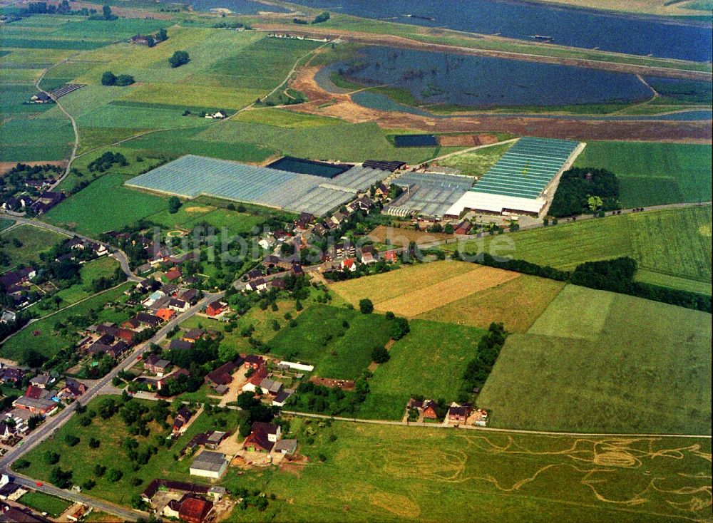 Rheinberg von oben - Gewächshausreihen zur Blumenzucht im Ortsteil Eversael in Rheinberg im Bundesland Nordrhein-Westfalen