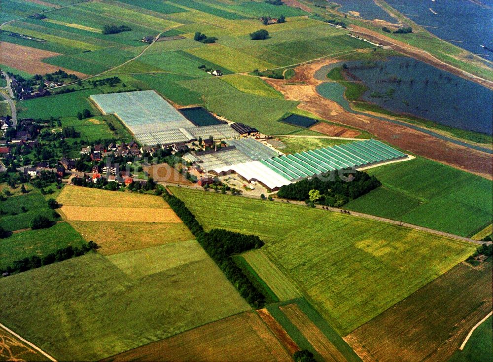 Rheinberg aus der Vogelperspektive: Gewächshausreihen zur Blumenzucht im Ortsteil Eversael in Rheinberg im Bundesland Nordrhein-Westfalen