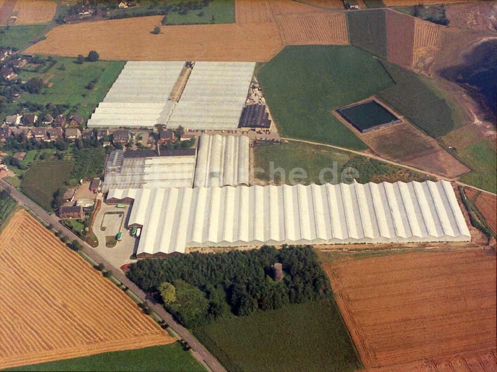 Rheinberg aus der Vogelperspektive: Gewächshausreihen zur Blumenzucht im Ortsteil Eversael in Rheinberg im Bundesland Nordrhein-Westfalen