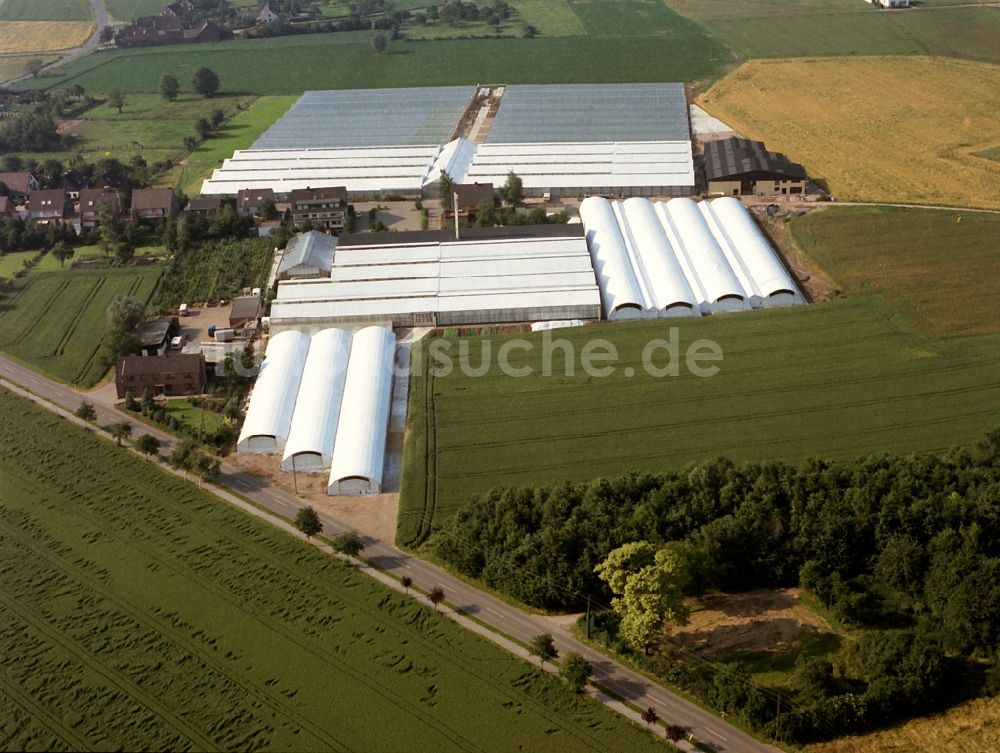 Luftaufnahme Rheinberg - Gewächshausreihen zur Blumenzucht im Ortsteil Eversael in Rheinberg im Bundesland Nordrhein-Westfalen