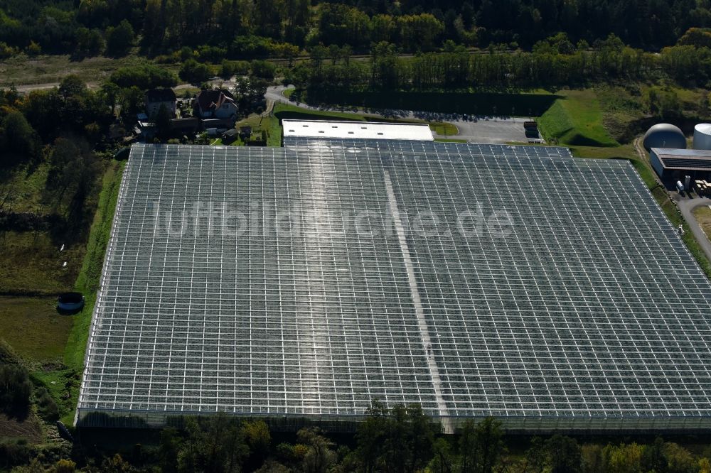 Bralitz von oben - Gewächshausreihen zur Gemüsezucht in Bralitz im Bundesland Brandenburg, Deutschland