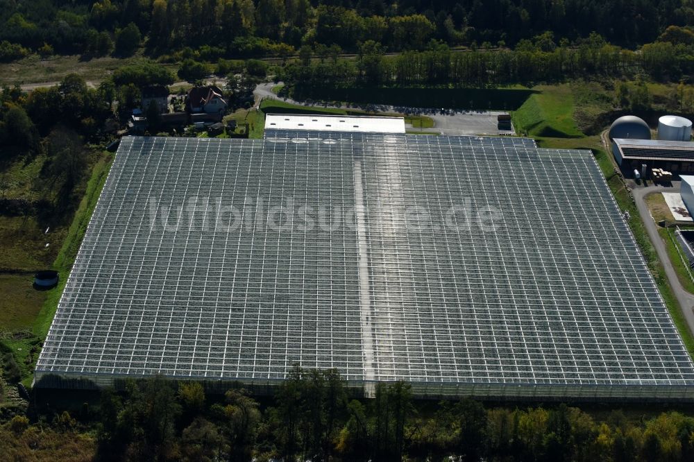 Bralitz aus der Vogelperspektive: Gewächshausreihen zur Gemüsezucht in Bralitz im Bundesland Brandenburg, Deutschland