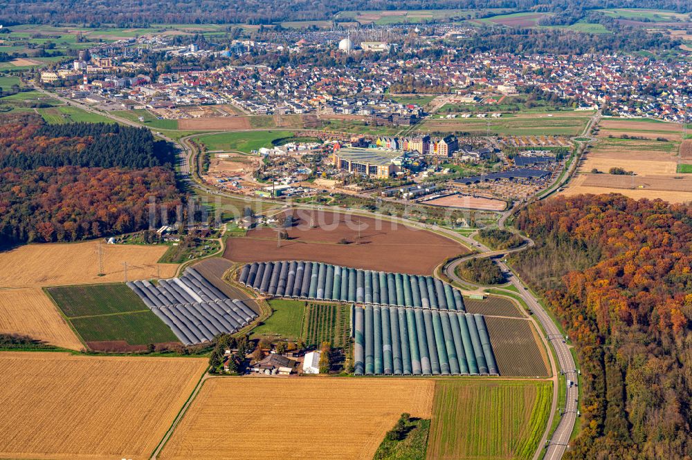 Ringsheim von oben - Gewächshausreihen zur Gemüsezucht der Bressel Obst- und Gemüsestand in Ringsheim im Bundesland Baden-Württemberg, Deutschland