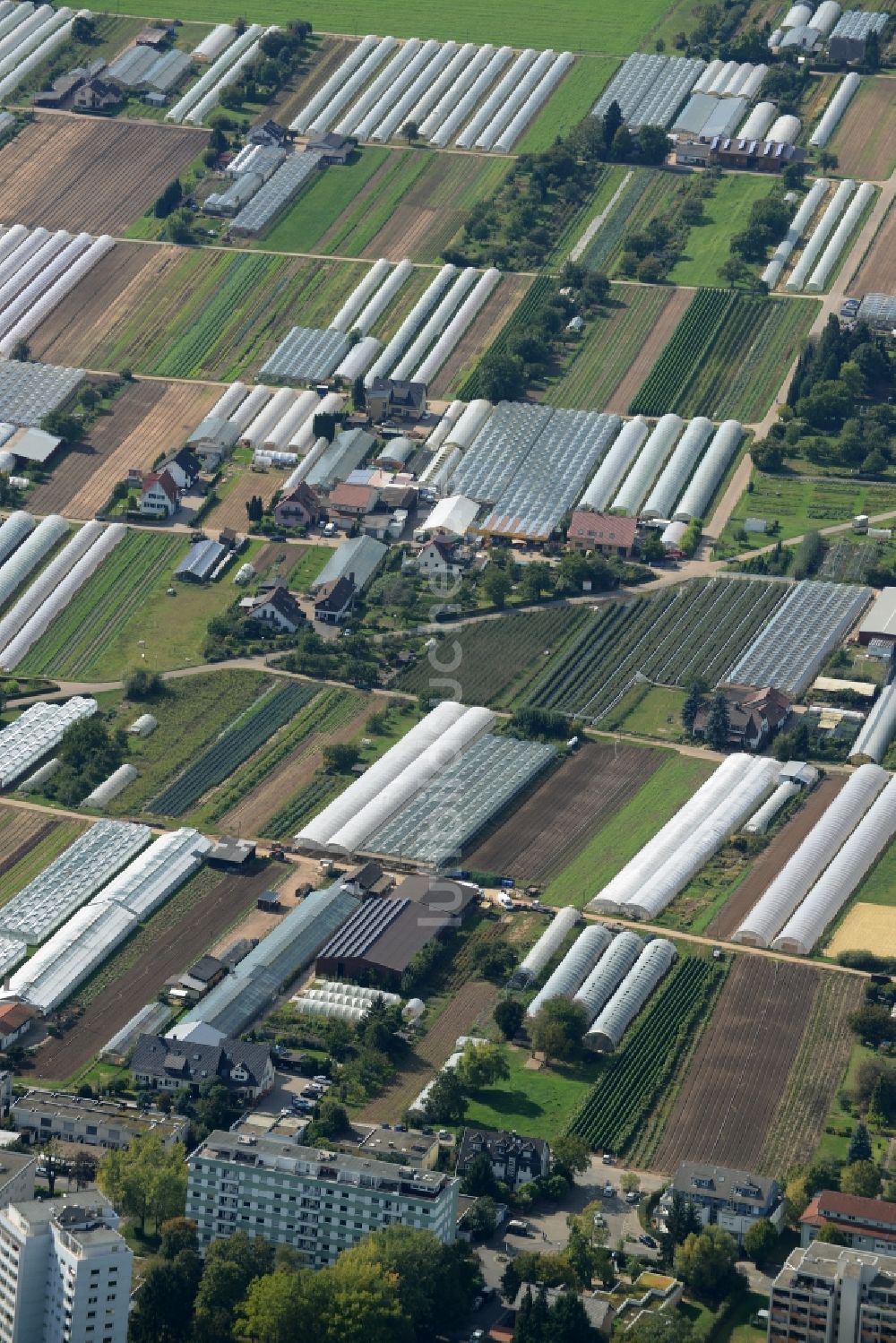 Dossenheim von oben - Gewächshausreihen zur Gemüsezucht in Dossenheim im Bundesland Baden-Württemberg