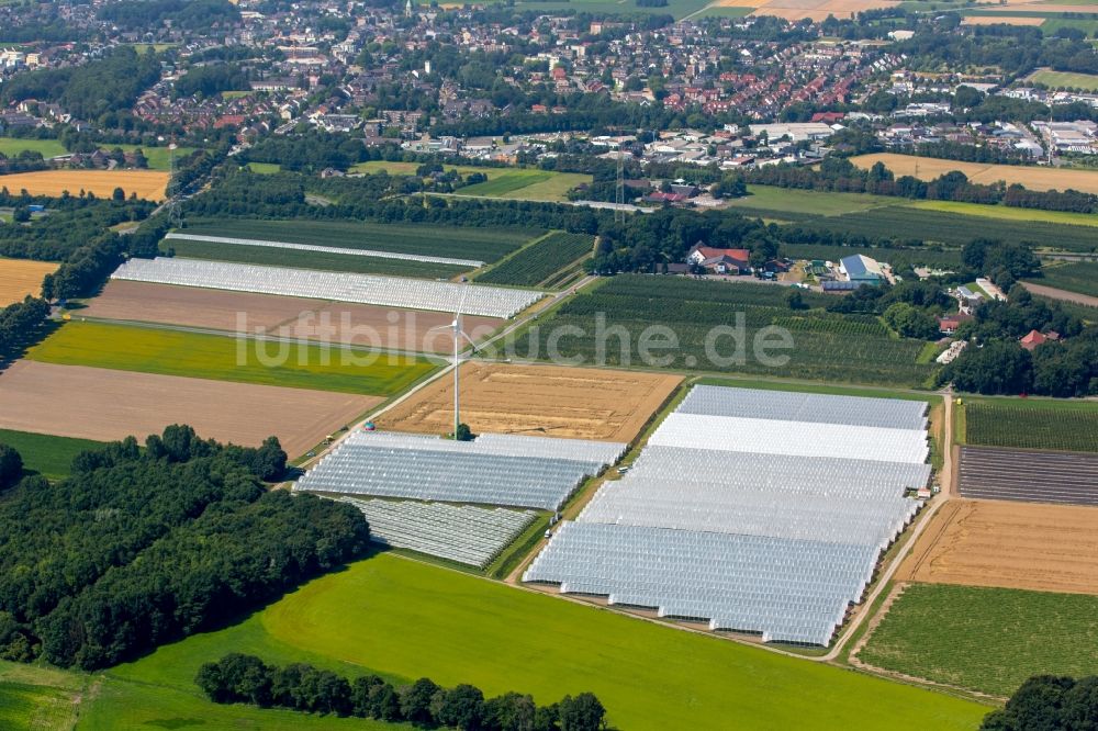 Kirchhellen aus der Vogelperspektive: Gewächshausreihen zur Gemüsezucht auf einem Feld zwischen den Bauernhöfen Hof Umberg und Schmücker Hof bei Kirchhellen im Bundesland Nordrhein-Westfalen