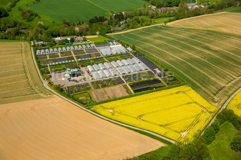 Luftbild Heiligenhaus - Gewächshausreihen zur Gemüsezucht in Heiligenhaus im Bundesland Nordrhein-Westfalen