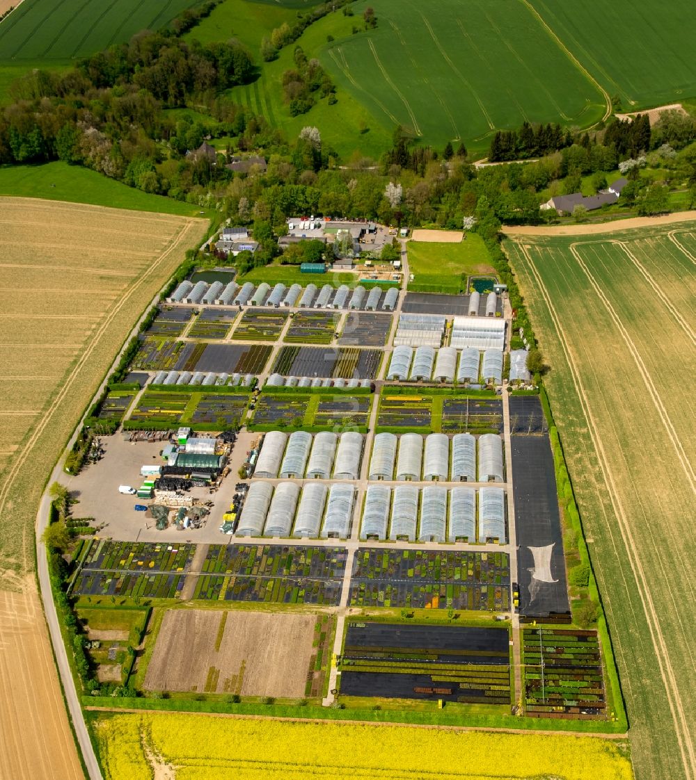 Heiligenhaus von oben - Gewächshausreihen zur Gemüsezucht in Heiligenhaus im Bundesland Nordrhein-Westfalen