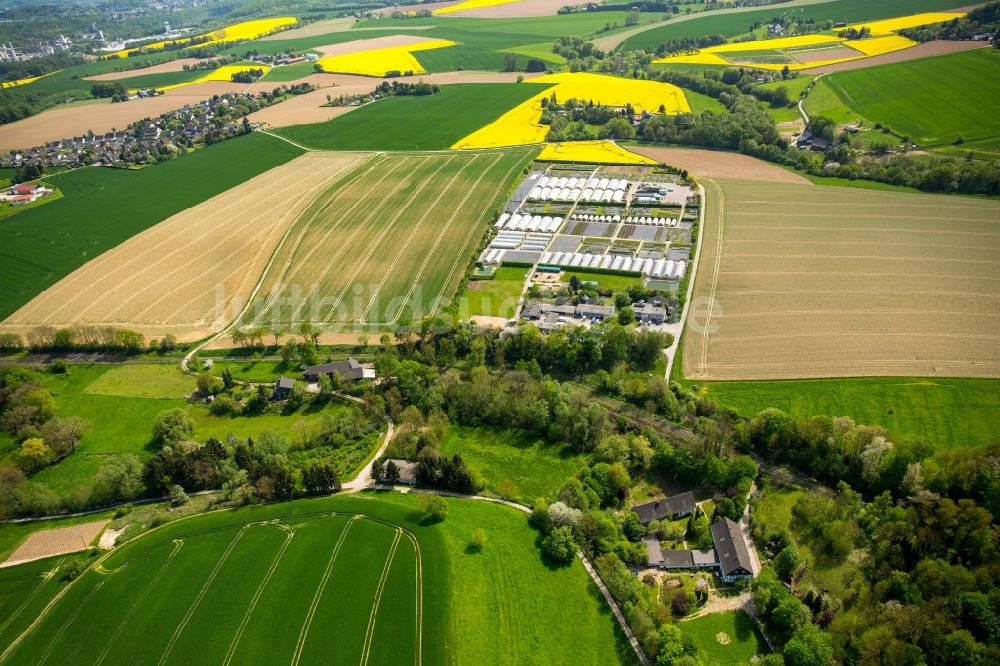 Heiligenhaus aus der Vogelperspektive: Gewächshausreihen zur Gemüsezucht in Heiligenhaus im Bundesland Nordrhein-Westfalen