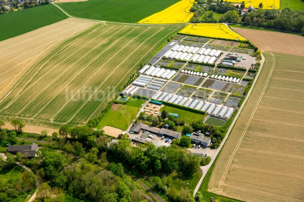 Luftbild Heiligenhaus - Gewächshausreihen zur Gemüsezucht in Heiligenhaus im Bundesland Nordrhein-Westfalen