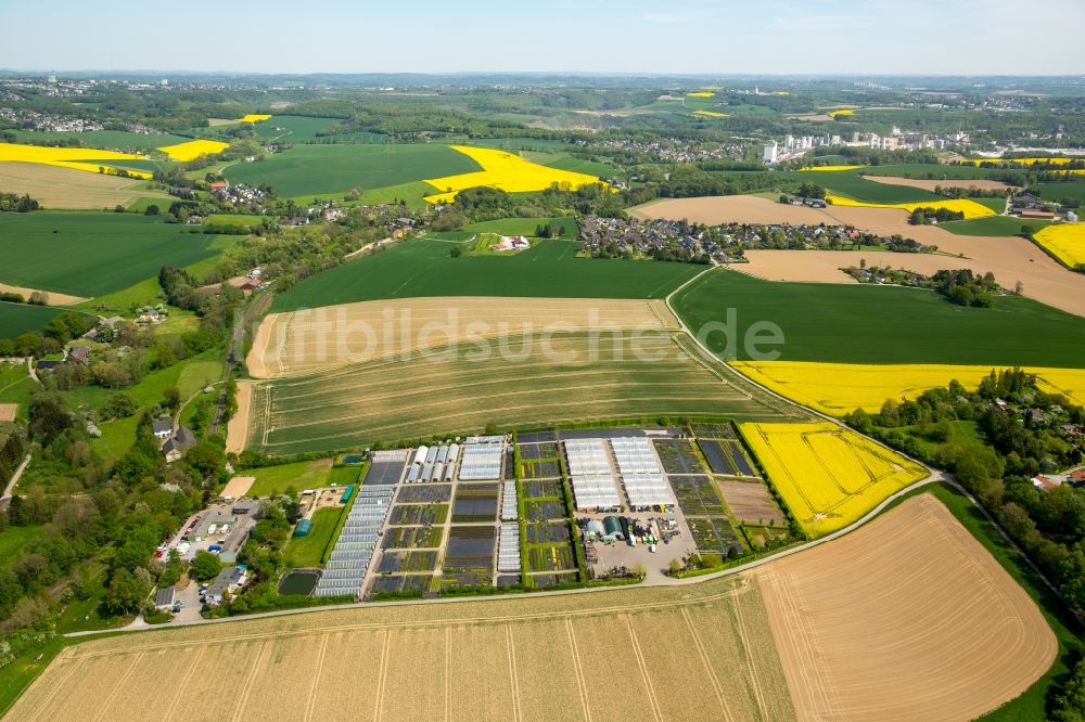 Heiligenhaus von oben - Gewächshausreihen zur Gemüsezucht in Heiligenhaus im Bundesland Nordrhein-Westfalen