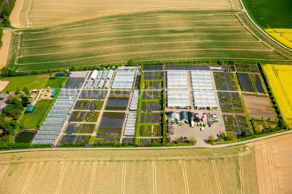 Heiligenhaus aus der Vogelperspektive: Gewächshausreihen zur Gemüsezucht in Heiligenhaus im Bundesland Nordrhein-Westfalen