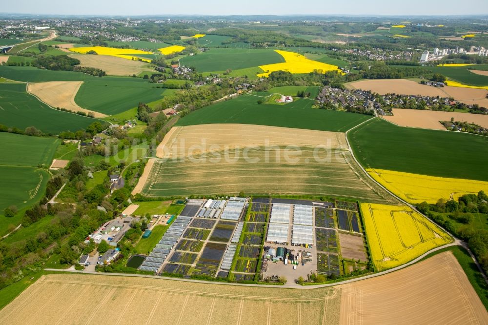 Luftbild Heiligenhaus - Gewächshausreihen zur Gemüsezucht in Heiligenhaus im Bundesland Nordrhein-Westfalen