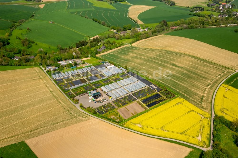 Luftaufnahme Heiligenhaus - Gewächshausreihen zur Gemüsezucht in Heiligenhaus im Bundesland Nordrhein-Westfalen