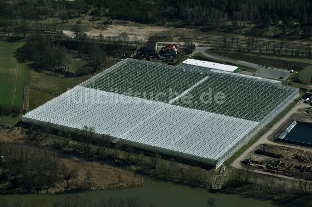 Bralitz aus der Vogelperspektive: Gewächshausreihen zur Gemüsezucht von Paprika und Salatgurken in Bralitz im Bundesland Brandenburg