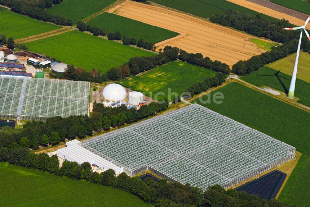 Sassenberg von oben - Gewächshausreihen zur Gemüsezucht Querdel Biohof in Sassenberg im Bundesland Nordrhein-Westfalen, Deutschland