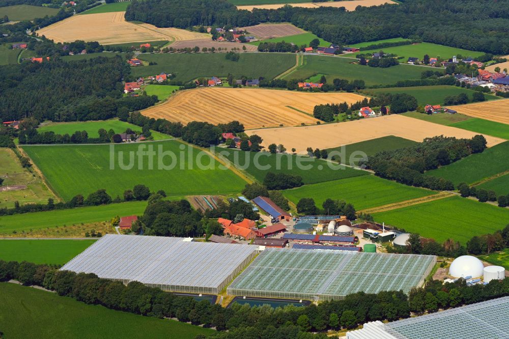 Sassenberg aus der Vogelperspektive: Gewächshausreihen zur Gemüsezucht Querdel Biohof in Sassenberg im Bundesland Nordrhein-Westfalen, Deutschland