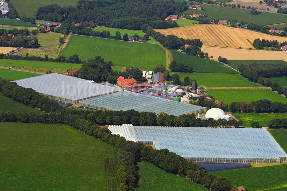 Luftaufnahme Sassenberg - Gewächshausreihen zur Gemüsezucht Querdel Biohof in Sassenberg im Bundesland Nordrhein-Westfalen, Deutschland