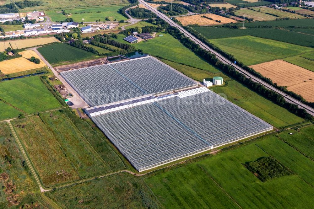 Hemmingstedt aus der Vogelperspektive: Gewächshausreihen zur Gemüsezucht der Vitarom frischgemüse GmbH in Hemmingstedt im Bundesland Schleswig-Holstein, Deutschland