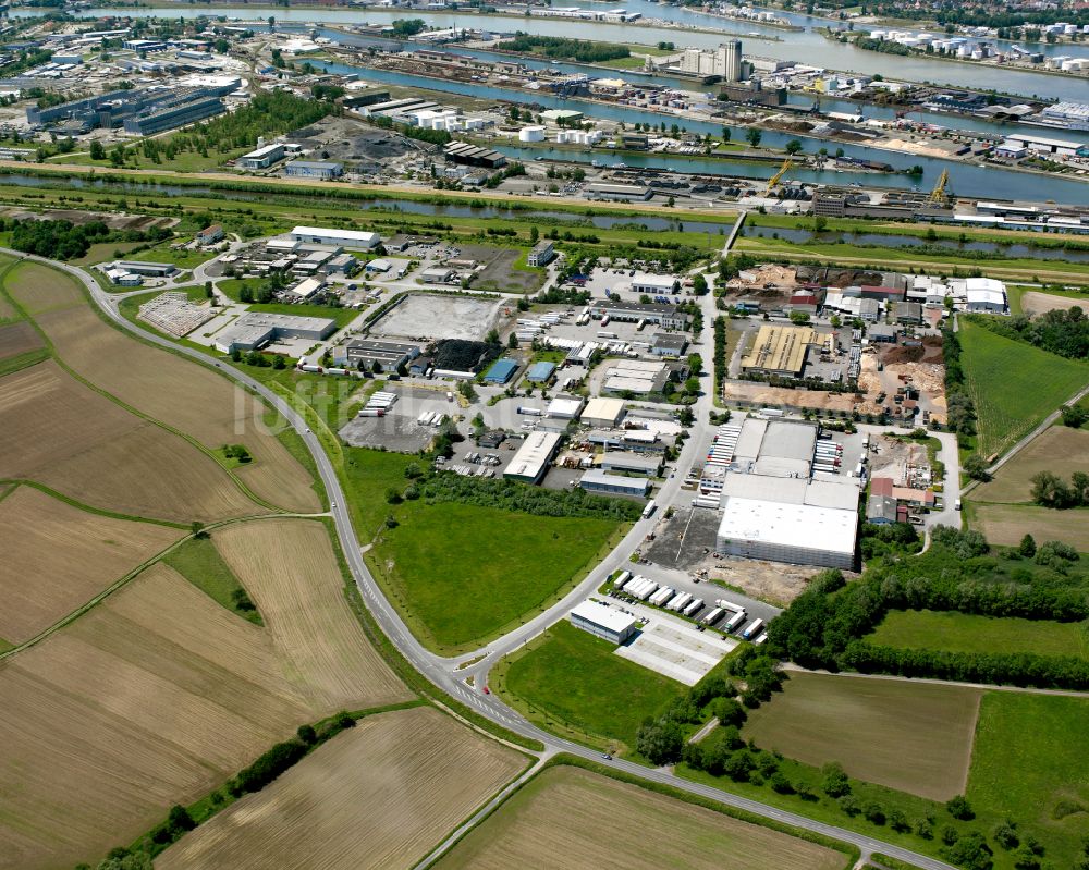 Auenheim von oben - Gewerbegebiet in Auenheim im Bundesland Baden-Württemberg, Deutschland