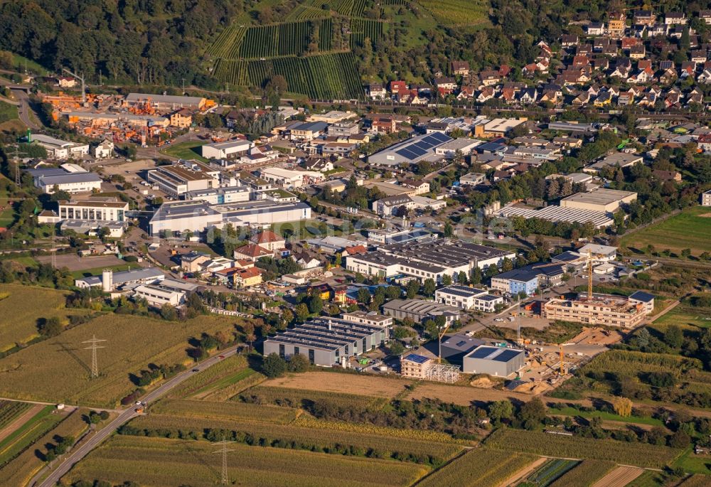 Denzlingen aus der Vogelperspektive: Gewerbegebiet Denzlingen in Denzlingen im Bundesland Baden-Württemberg, Deutschland