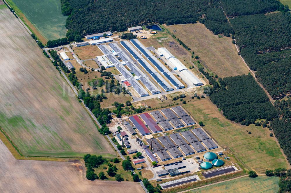 Grabow aus der Vogelperspektive: Gewerbegebiet Gewerbepark Wanzlitz GmbH & Co. KG in Grabow im Bundesland Mecklenburg-Vorpommern, Deutschland