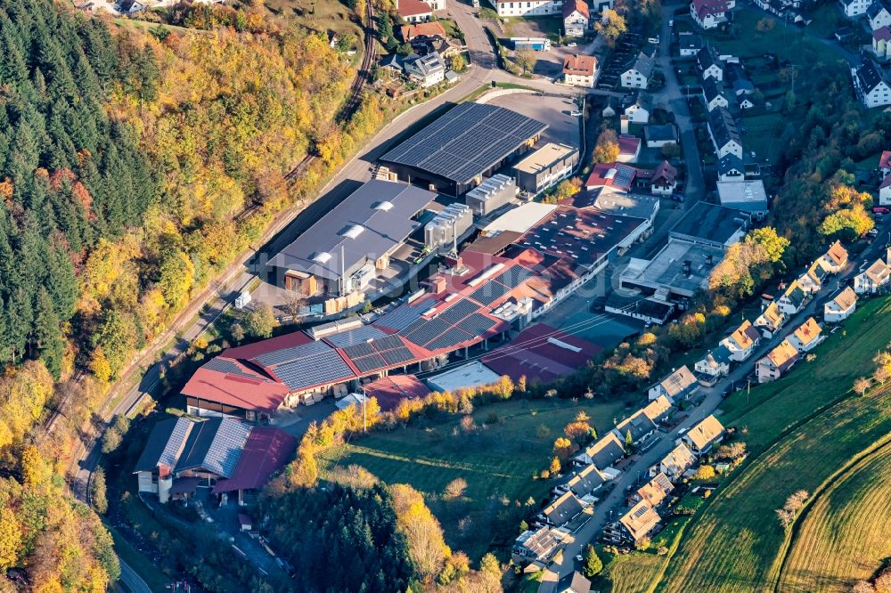 Luftbild Bad Peterstal-Griesbach - Gewerbegebiet Ortsteil Peterstal in Bad Peterstal-Griesbach im Bundesland Baden-Württemberg, Deutschland