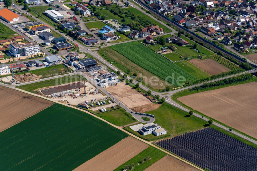 Luftaufnahme Ringsheim - Gewerbegebiet in Ringsheim im Bundesland Baden-Württemberg, Deutschland