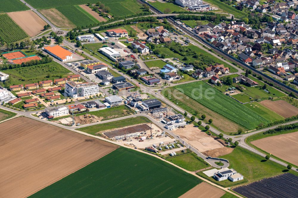 Ringsheim von oben - Gewerbegebiet in Ringsheim im Bundesland Baden-Württemberg, Deutschland