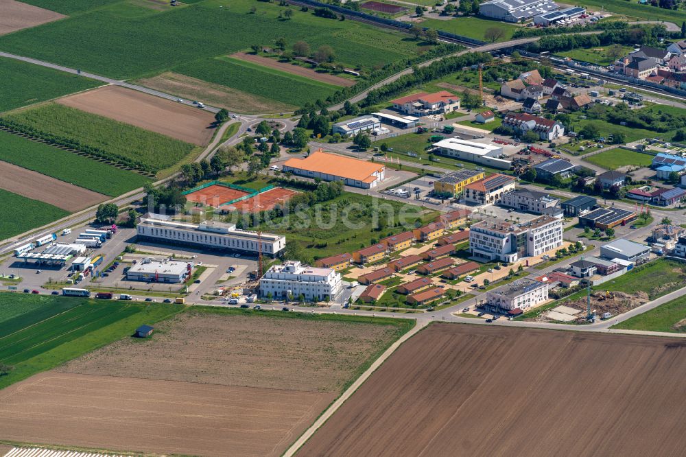 Ringsheim aus der Vogelperspektive: Gewerbegebiet in Ringsheim im Bundesland Baden-Württemberg, Deutschland