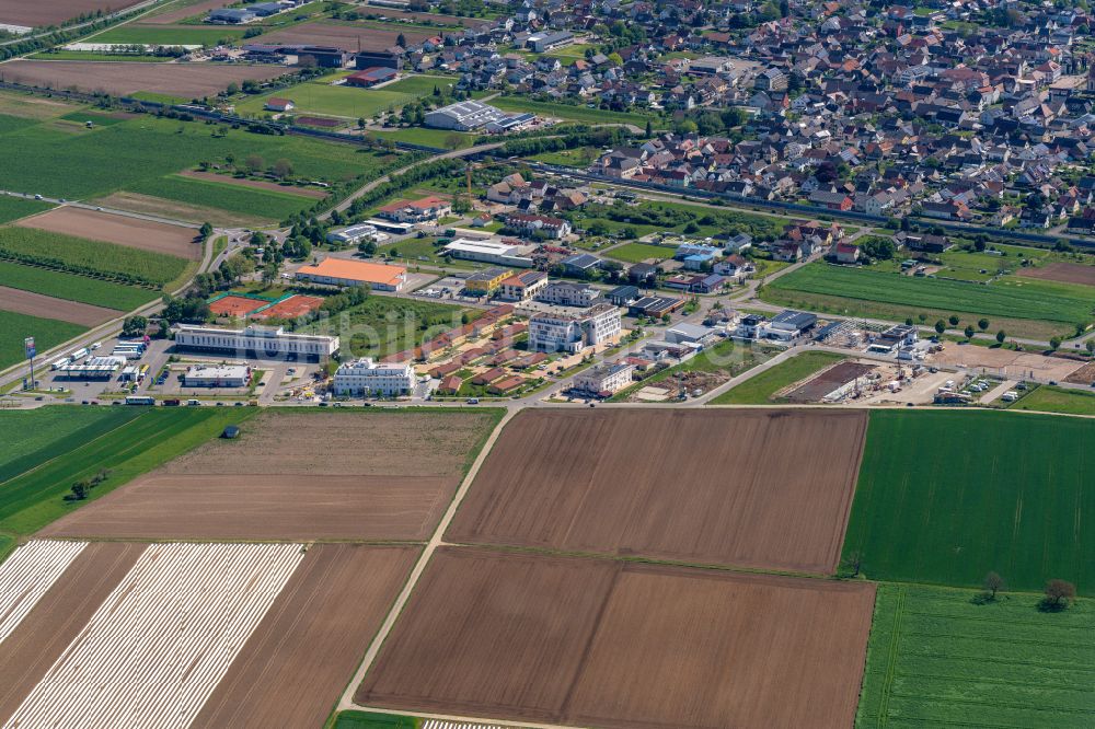 Luftaufnahme Ringsheim - Gewerbegebiet in Ringsheim im Bundesland Baden-Württemberg, Deutschland