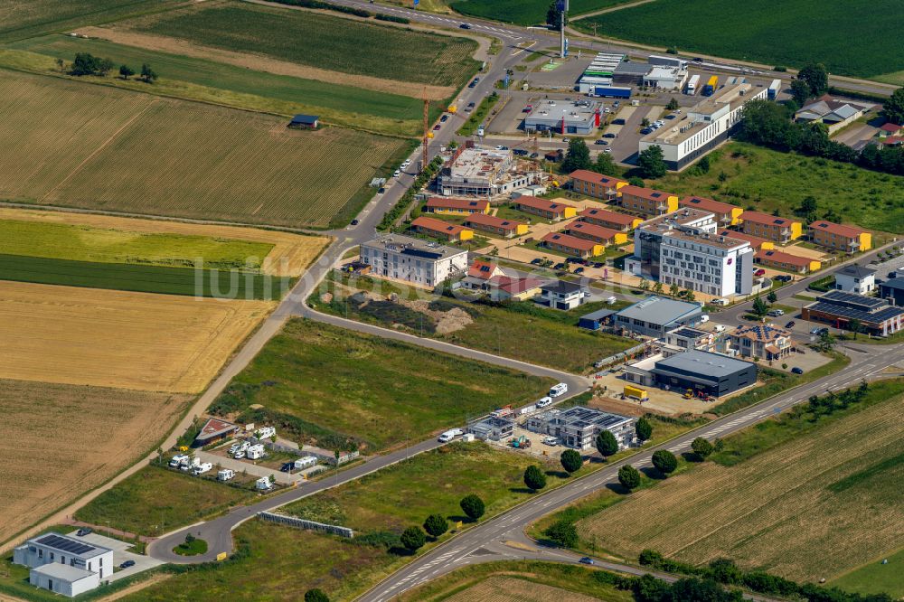 Luftbild Ringsheim - Gewerbegebiet Ringsheim West in Ringsheim im Bundesland Baden-Württemberg, Deutschland