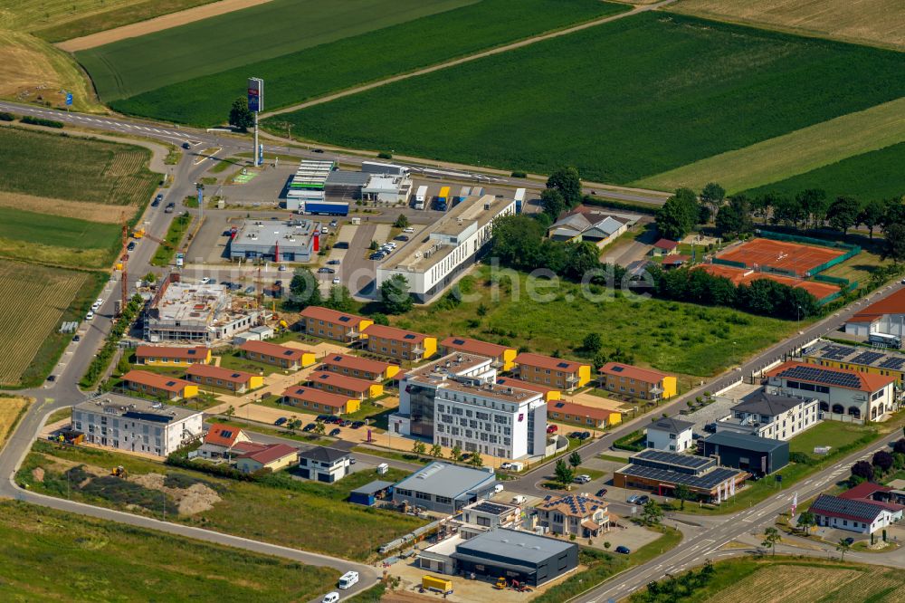 Ringsheim von oben - Gewerbegebiet Ringsheim West in Ringsheim im Bundesland Baden-Württemberg, Deutschland