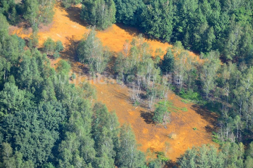 Luftaufnahme Schwarzheide - Gewässer in Schwarzheide im Bundesland Brandenburg