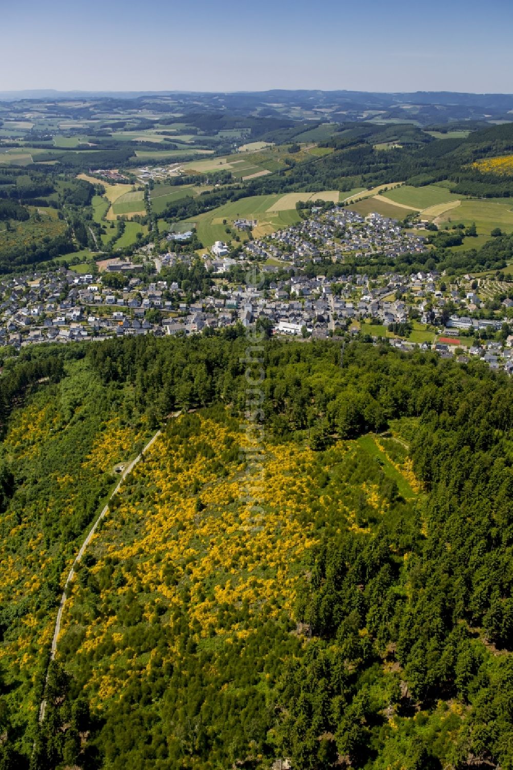 Medebach aus der Vogelperspektive: Ginsterwiesen - Waldreservat in Medebach im Bundesland Nordrhein-Westfalen