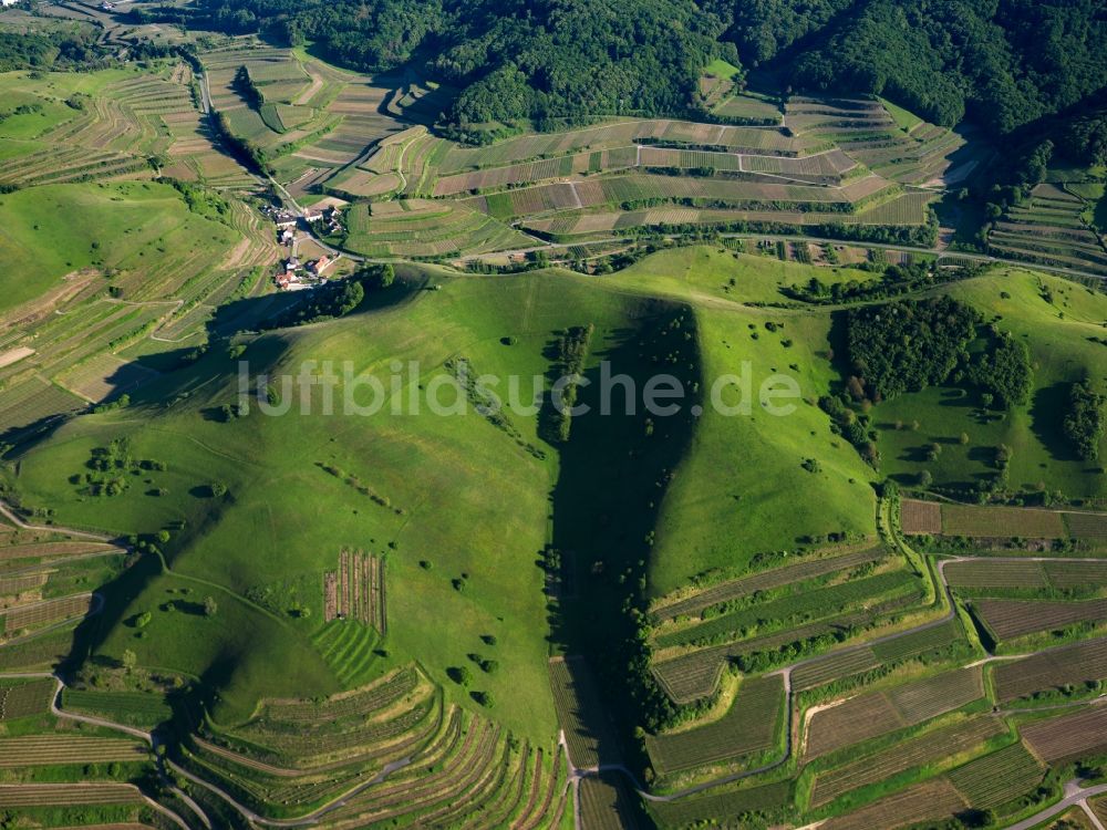 Luftaufnahme Schelingen - Gipfel des Badberg am Kaiserstuhl in der Felsen- und Berglandschaft in Schelingen im Bundesland Baden-Württemberg