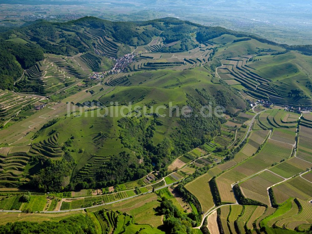 Schelingen von oben - Gipfel des Badberg am Kaiserstuhl in der Felsen- und Berglandschaft in Schelingen im Bundesland Baden-Württemberg