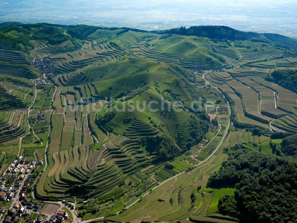 Schelingen aus der Vogelperspektive: Gipfel des Badberg am Kaiserstuhl in der Felsen- und Berglandschaft in Schelingen im Bundesland Baden-Württemberg