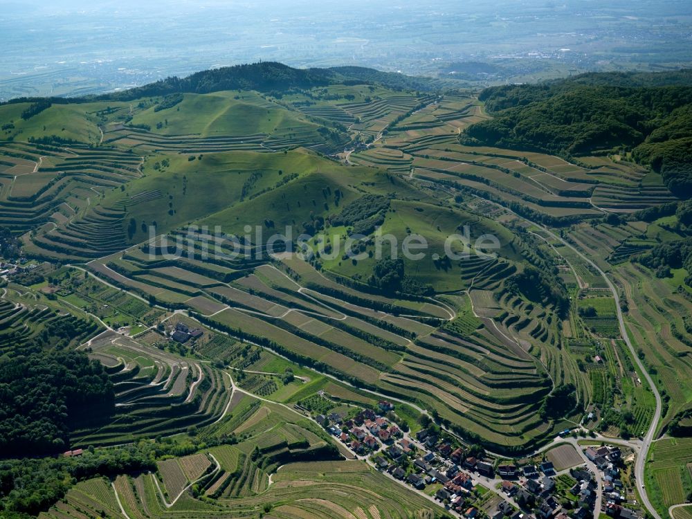 Luftaufnahme Schelingen - Gipfel des Badberg am Kaiserstuhl in der Felsen- und Berglandschaft in Schelingen im Bundesland Baden-Württemberg