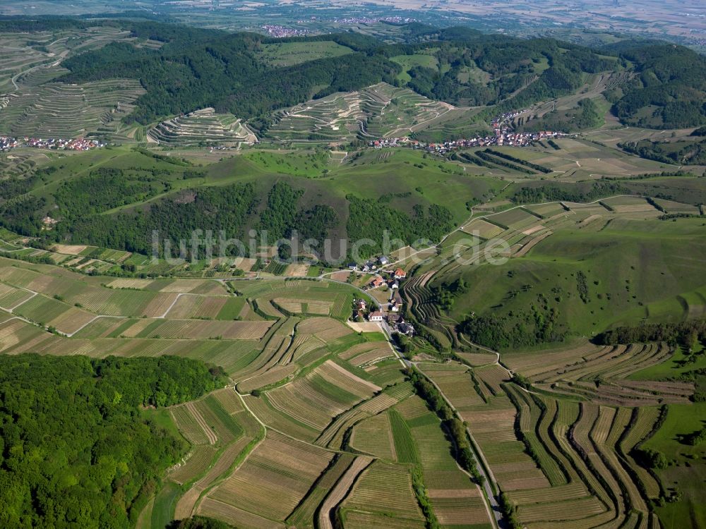 Luftbild Schelingen - Gipfel des Badberg am Kaiserstuhl in der Felsen- und Berglandschaft in Schelingen im Bundesland Baden-Württemberg