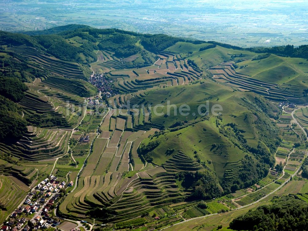 Schelingen von oben - Gipfel des Badberg am Kaiserstuhl in der Felsen- und Berglandschaft in Schelingen im Bundesland Baden-Württemberg