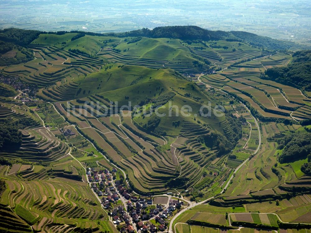 Schelingen aus der Vogelperspektive: Gipfel des Badberg am Kaiserstuhl in der Felsen- und Berglandschaft in Schelingen im Bundesland Baden-Württemberg