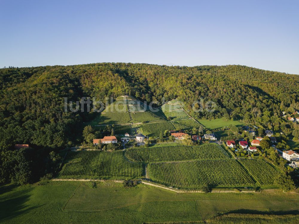 Dresden aus der Vogelperspektive: Gipfel Rysselkuppe in der Felsen- und Berglandschaft in Dresden im Bundesland Sachsen, Deutschland